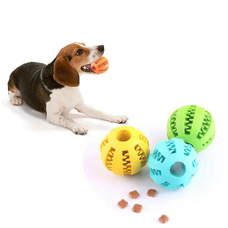 Pet Food Treat Feeder
