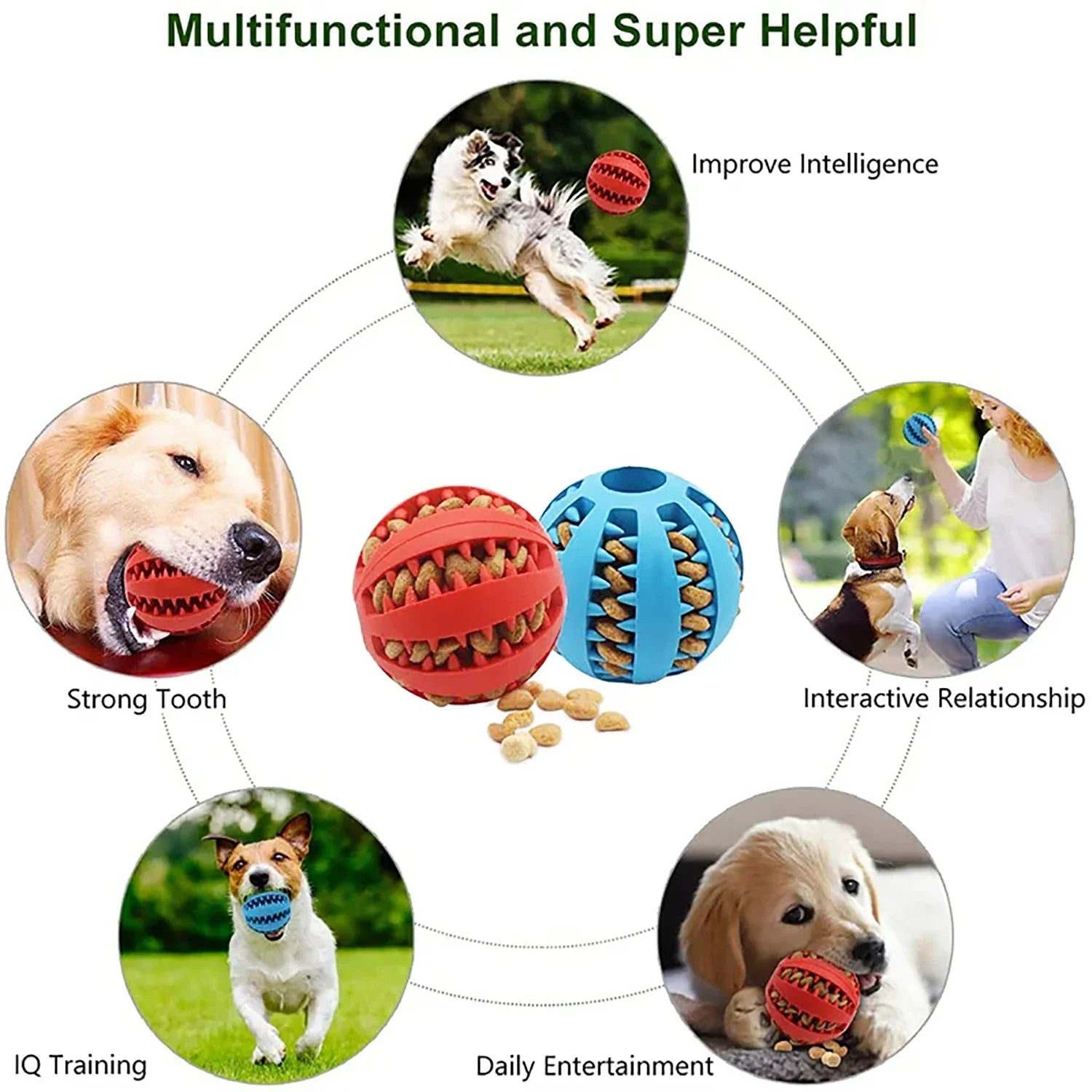 Pet Food Treat Feeder