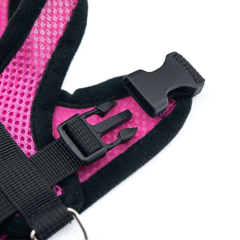 New style dog walking and cat chest strap