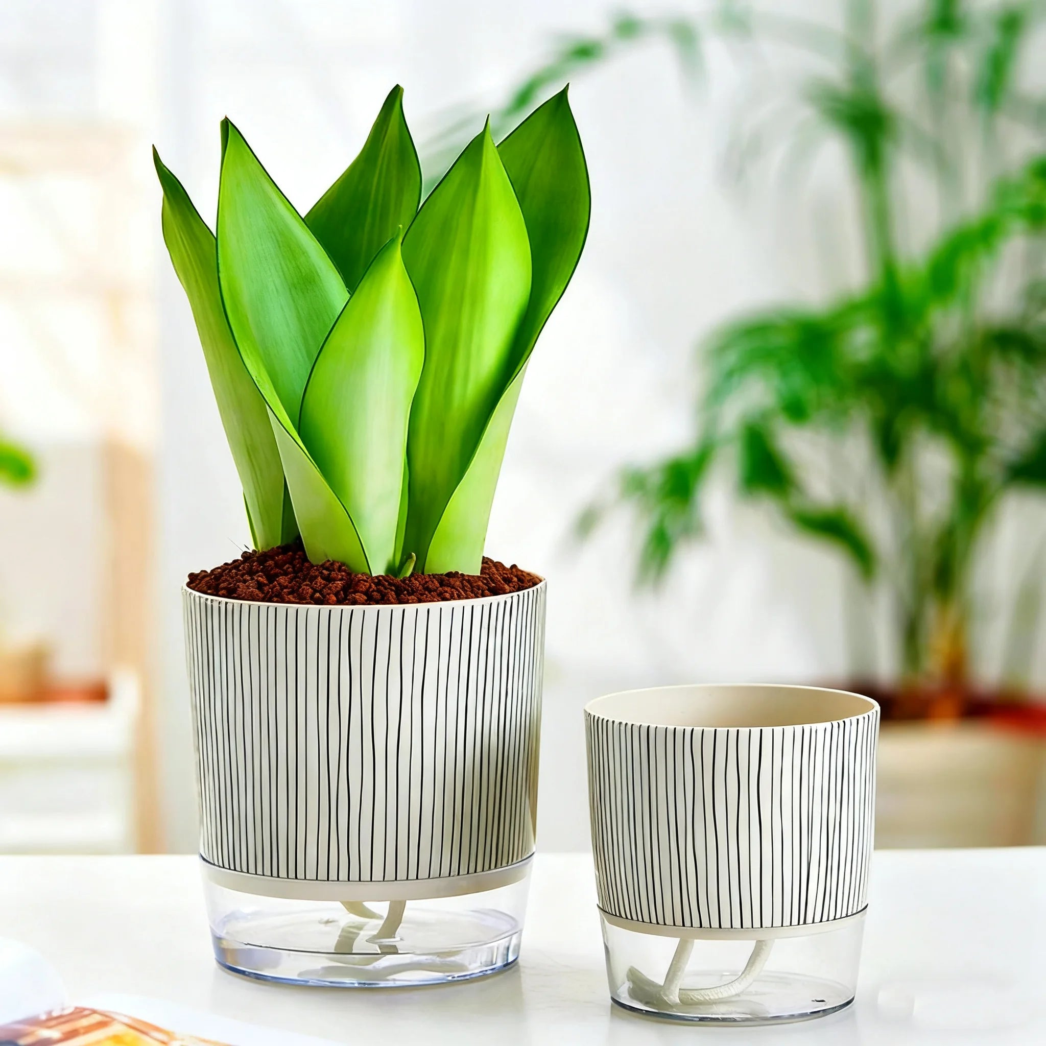 Self-watering Flower Pot