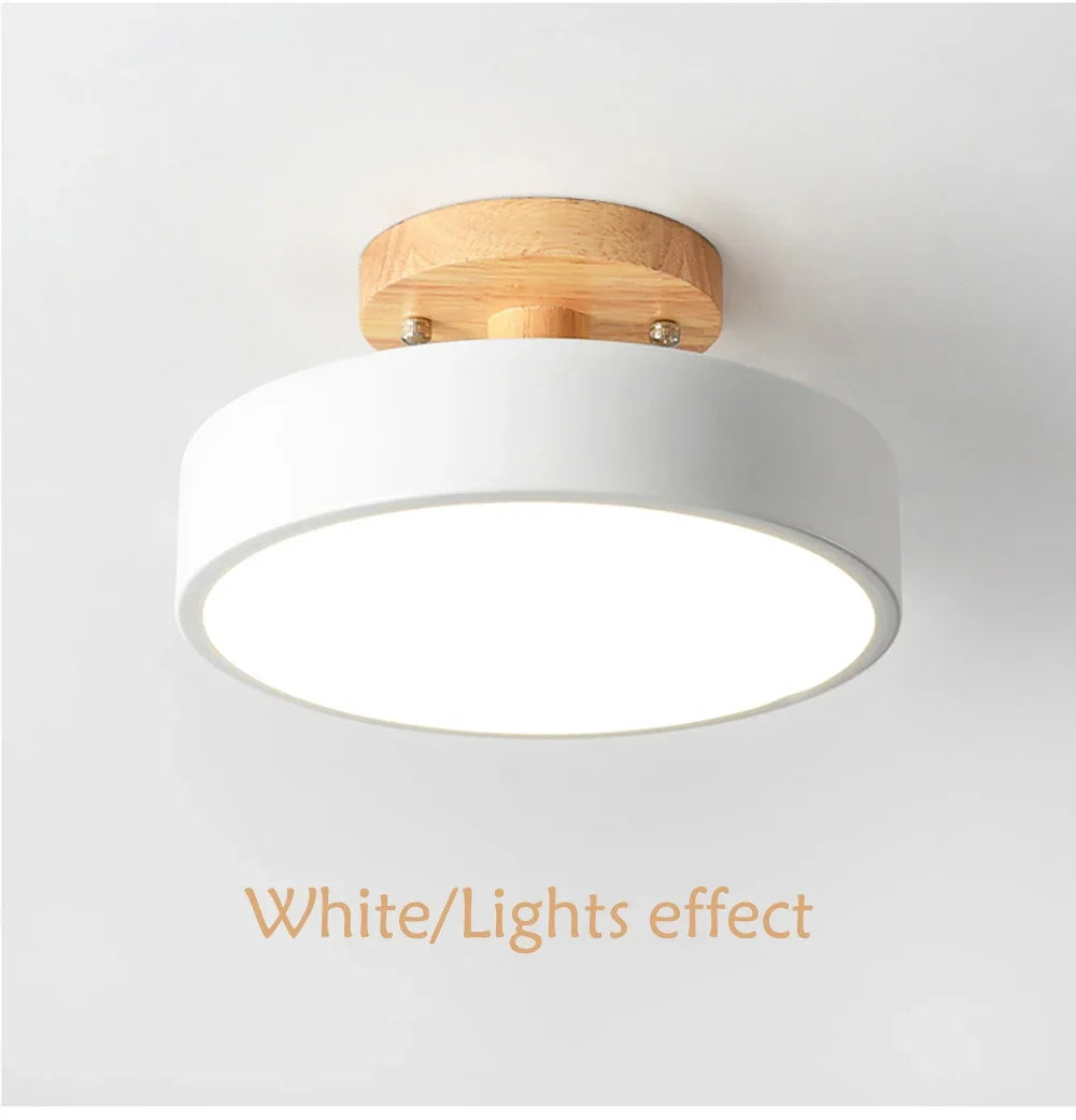 DAMIASMIL Modern LED Ceiling Lamp