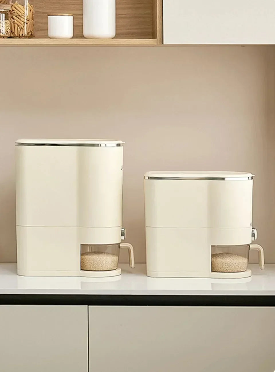 Rice Container
