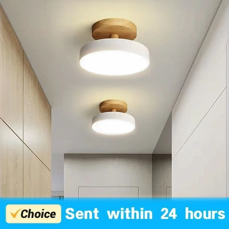 DAMIASMIL Modern LED Ceiling Lamp