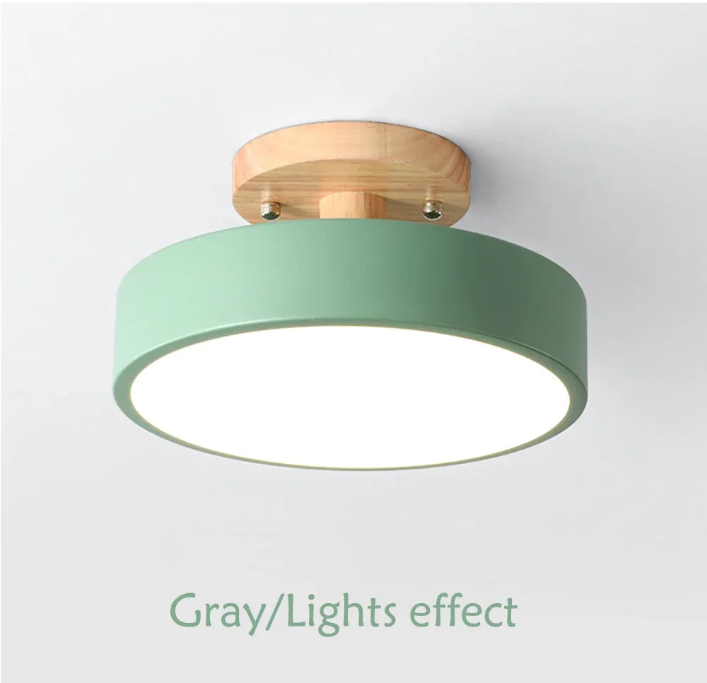 DAMIASMIL Modern LED Ceiling Lamp