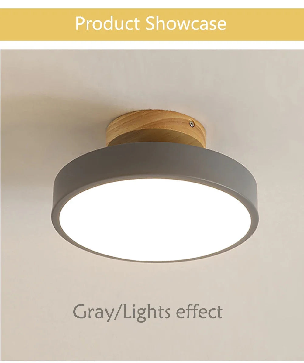 DAMIASMIL Modern LED Ceiling Lamp