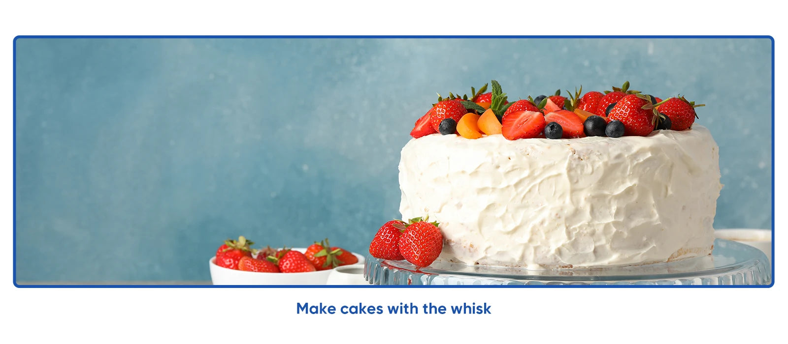 BioloMix 5 in 1 Immersion Hand Blender