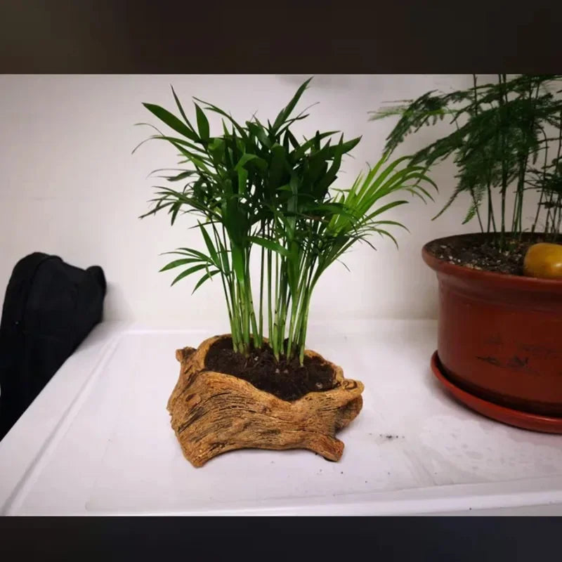 Creative Retro Cement Imitation Tree Stump Root Flower Pot