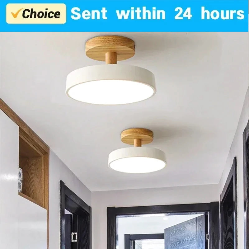 DAMIASMIL Modern LED Ceiling Lamp
