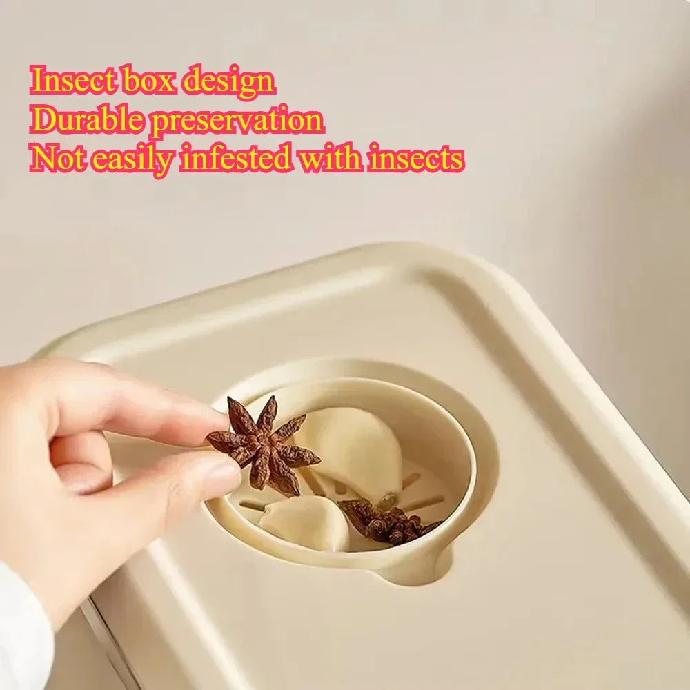 Rice Container
