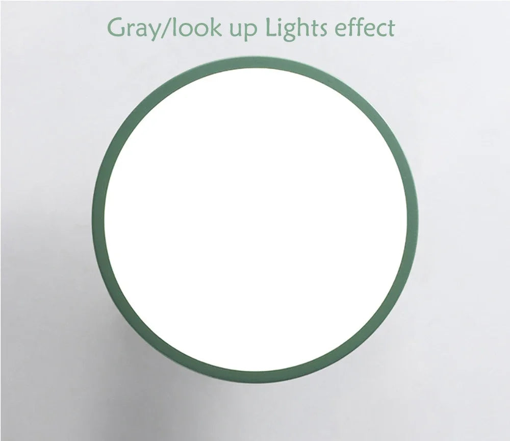 DAMIASMIL Modern LED Ceiling Lamp