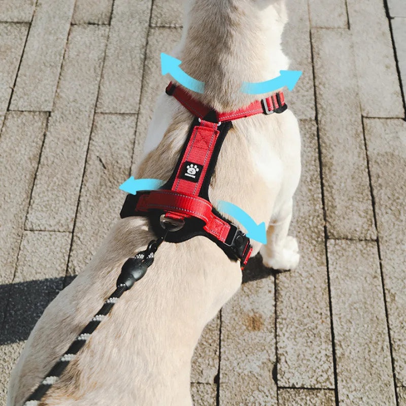 Heavy Duty Dog Harness with Front Clip