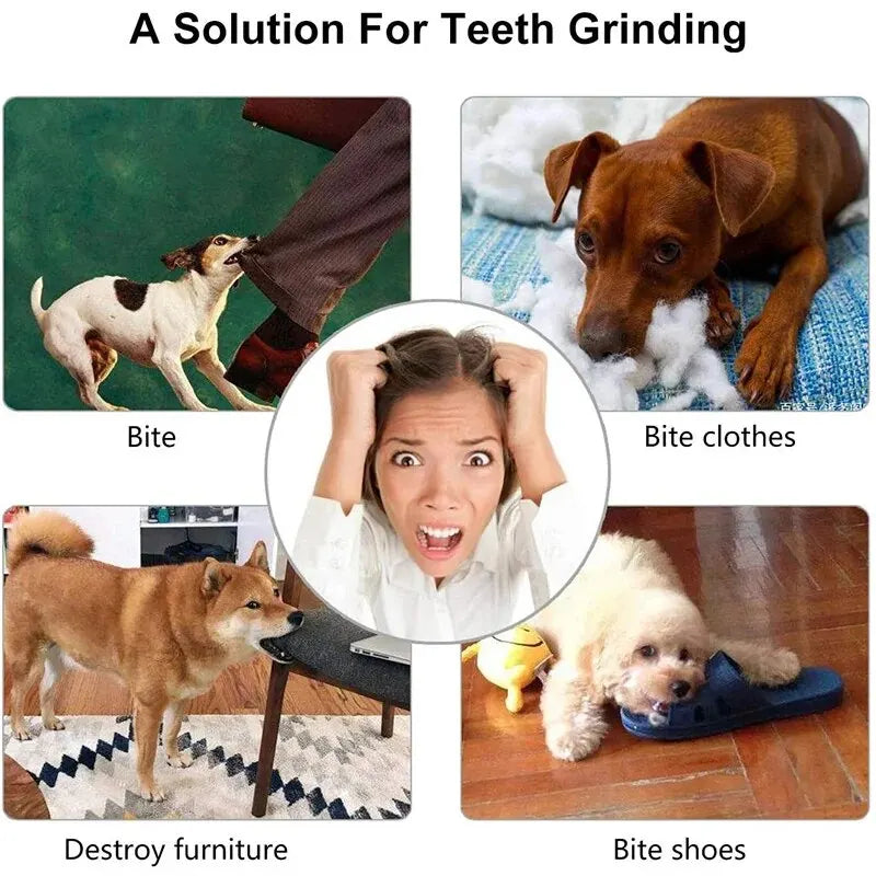 Pet Food Treat Feeder