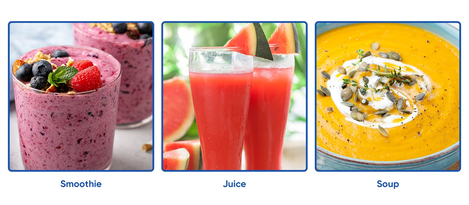 BioloMix 5 in 1 Immersion Hand Blender