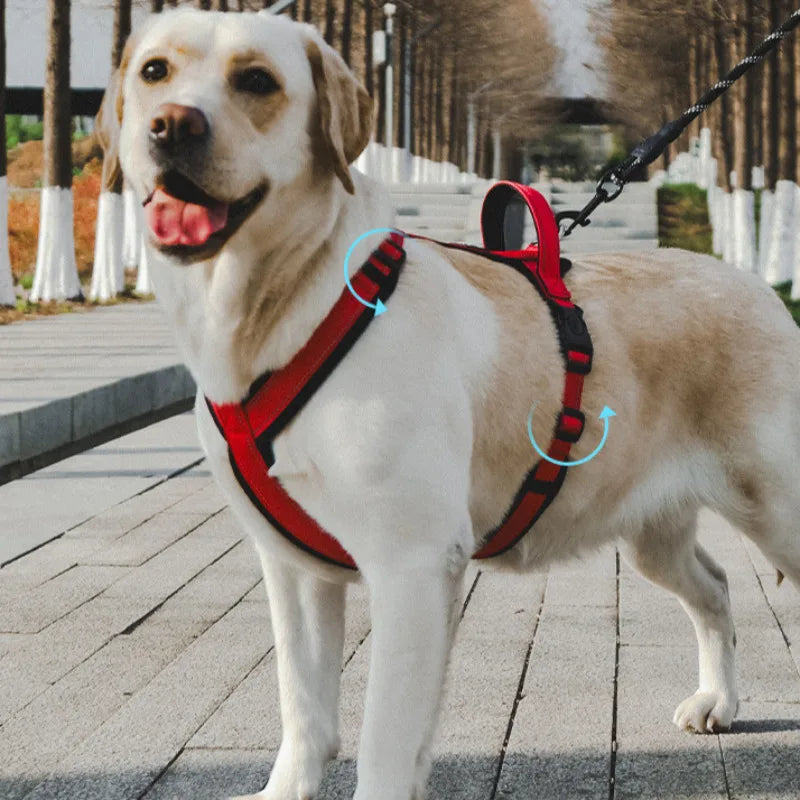 Heavy Duty Dog Harness with Front Clip