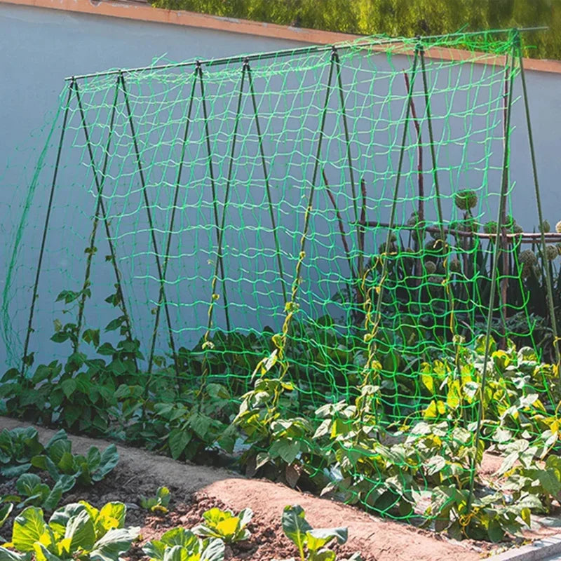 Heavy-Duty Garden Climbing Net – UV-Resistant Nylon Trellis
