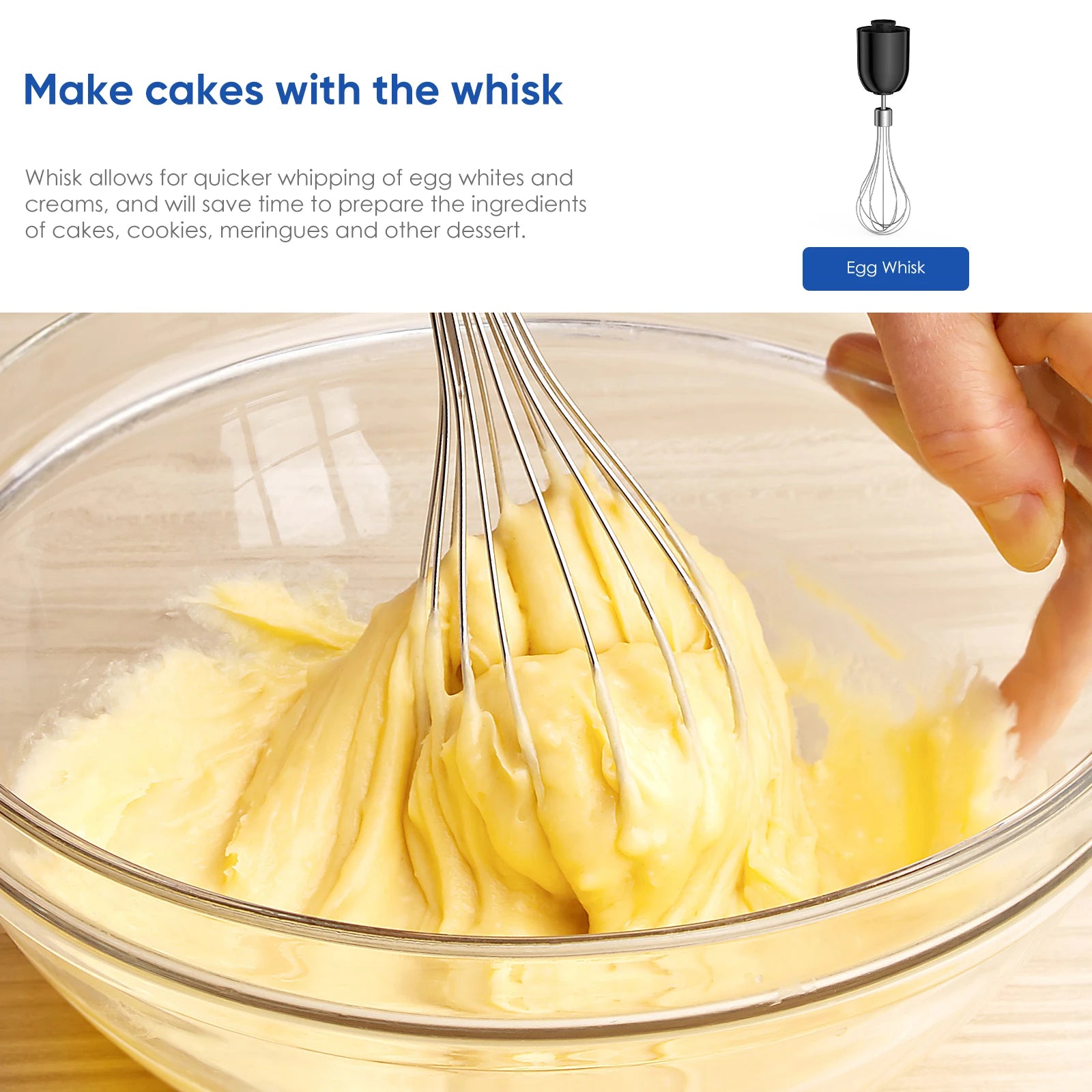 BioloMix 5 in 1 Immersion Hand Blender