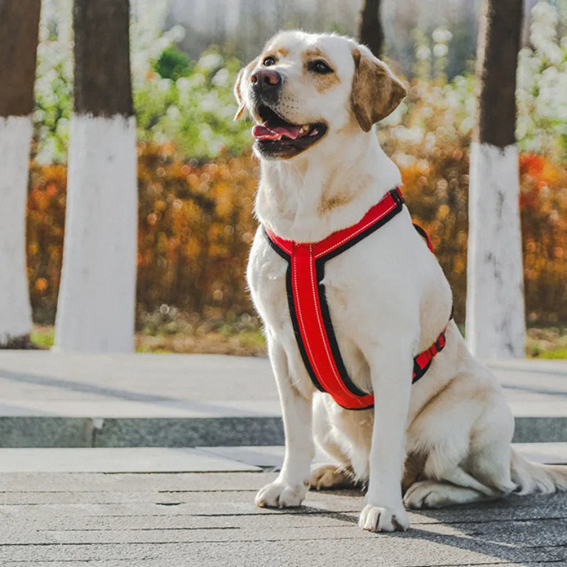 Heavy Duty Dog Harness with Front Clip