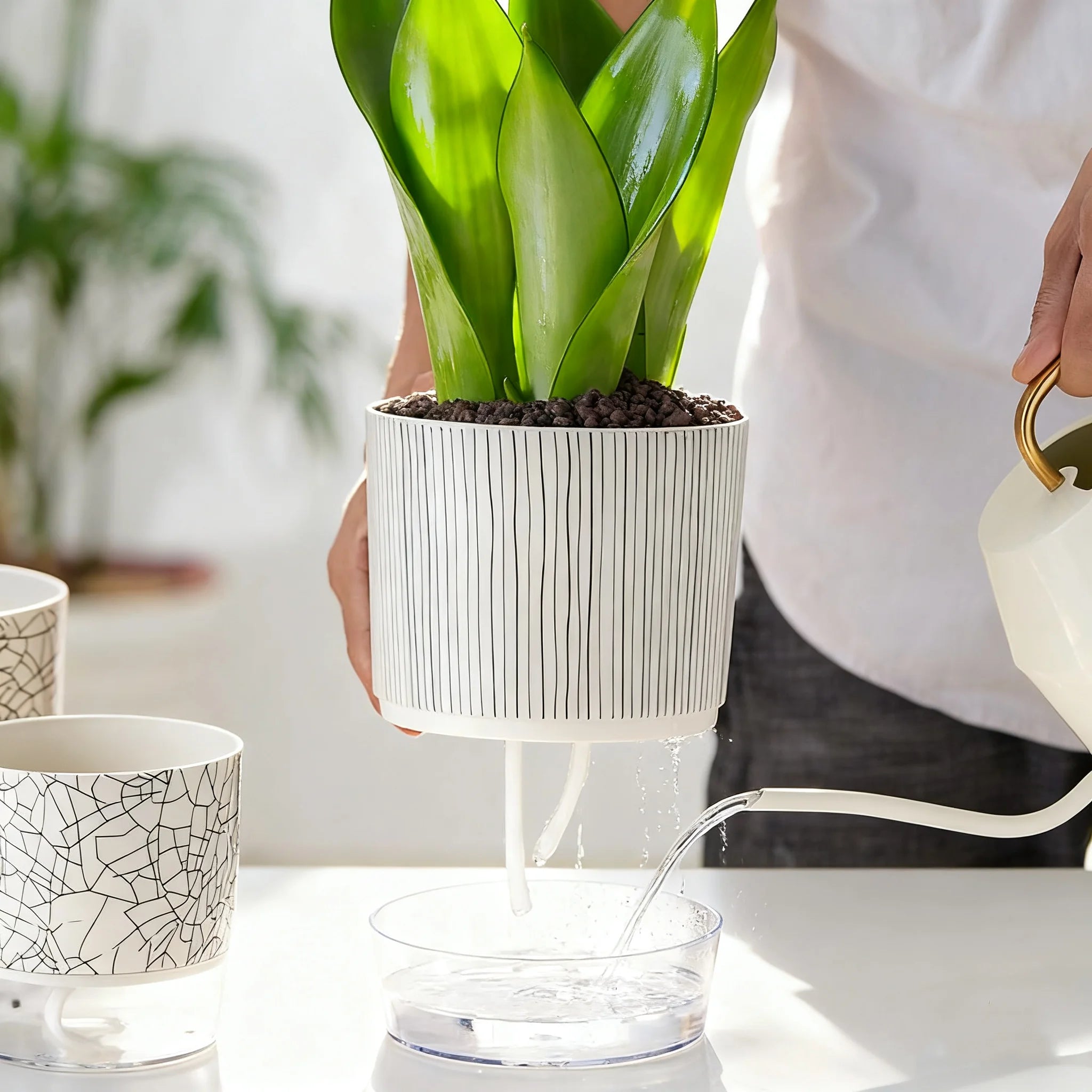 Self-watering Flower Pot