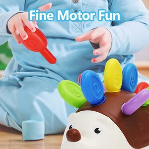 Sensory Hedgehog Toys