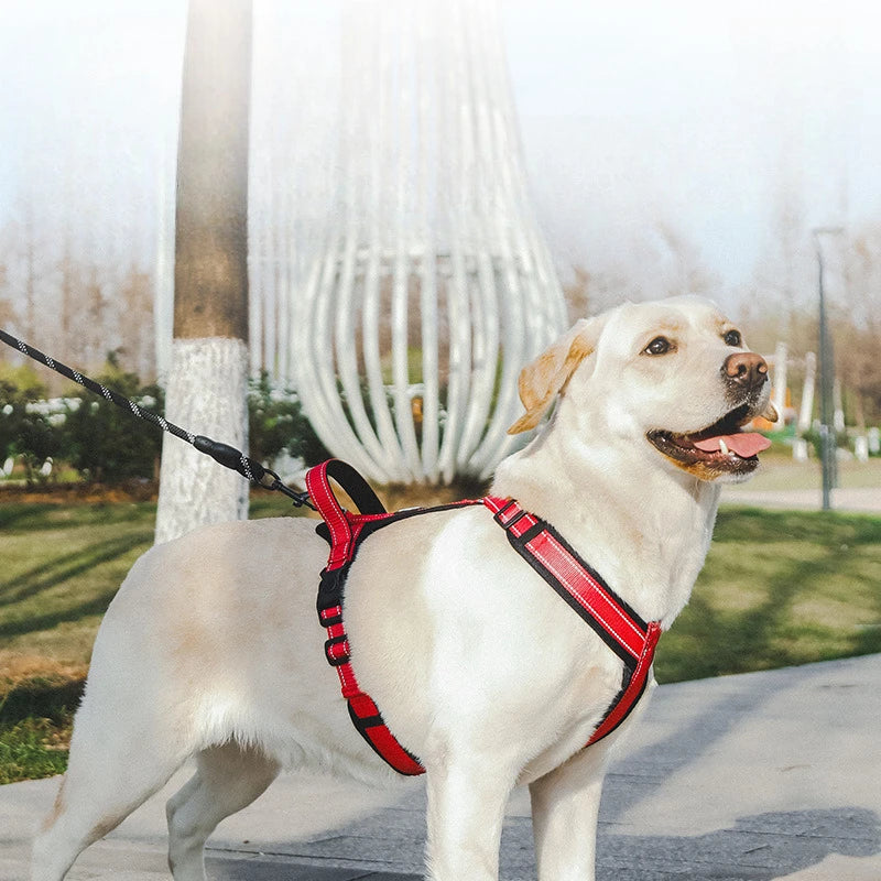Heavy Duty Dog Harness with Front Clip