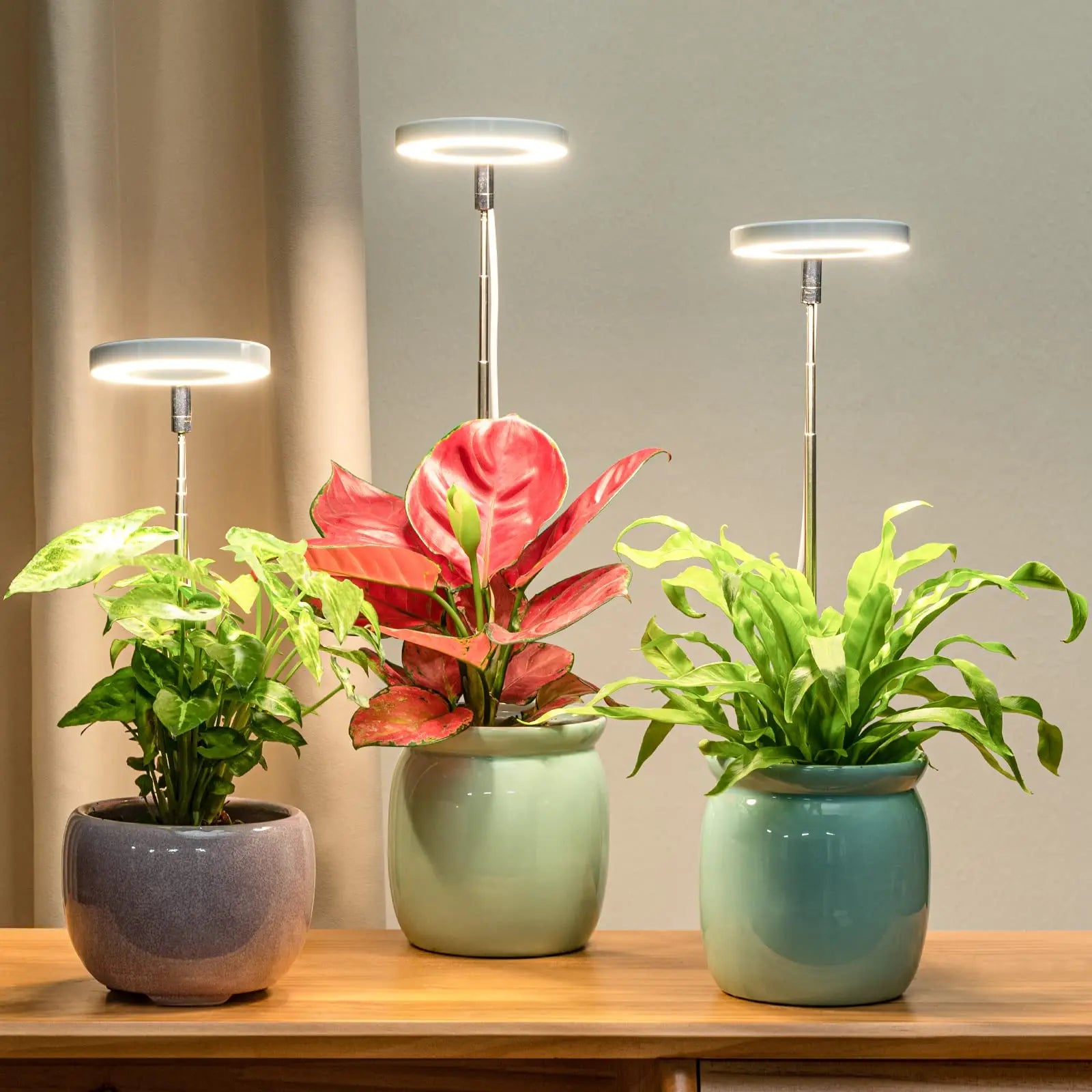 Full Spectrum Fill Light LED Grow Lamp for Indoor Plants