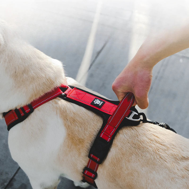 Heavy Duty Dog Harness with Front Clip
