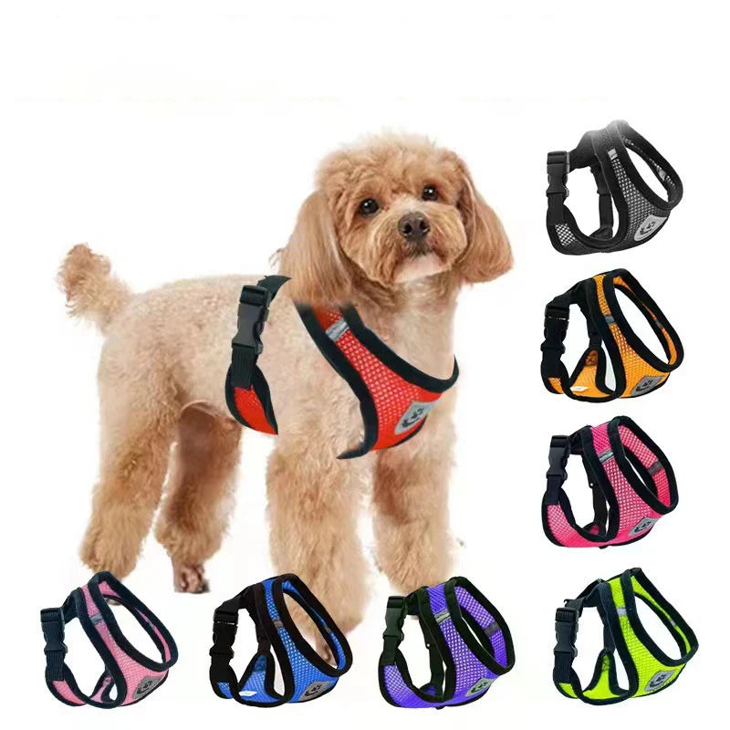New style dog walking and cat chest strap