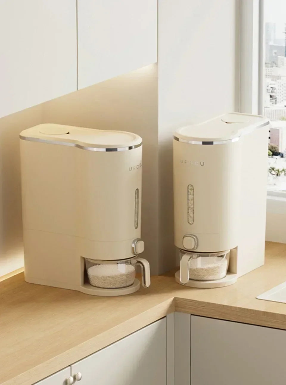 Rice Container