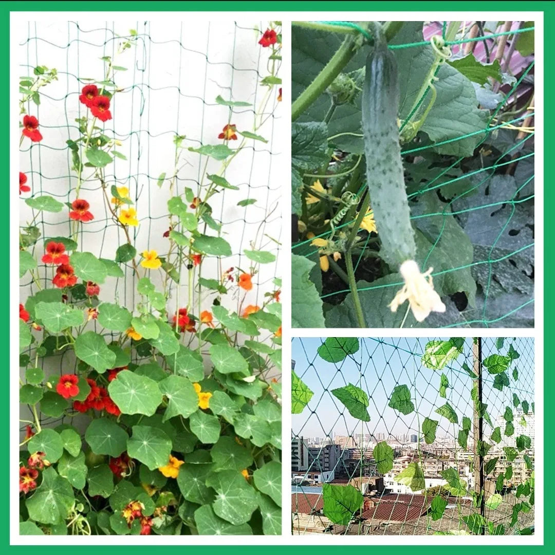 Heavy-Duty Garden Climbing Net – UV-Resistant Nylon Trellis