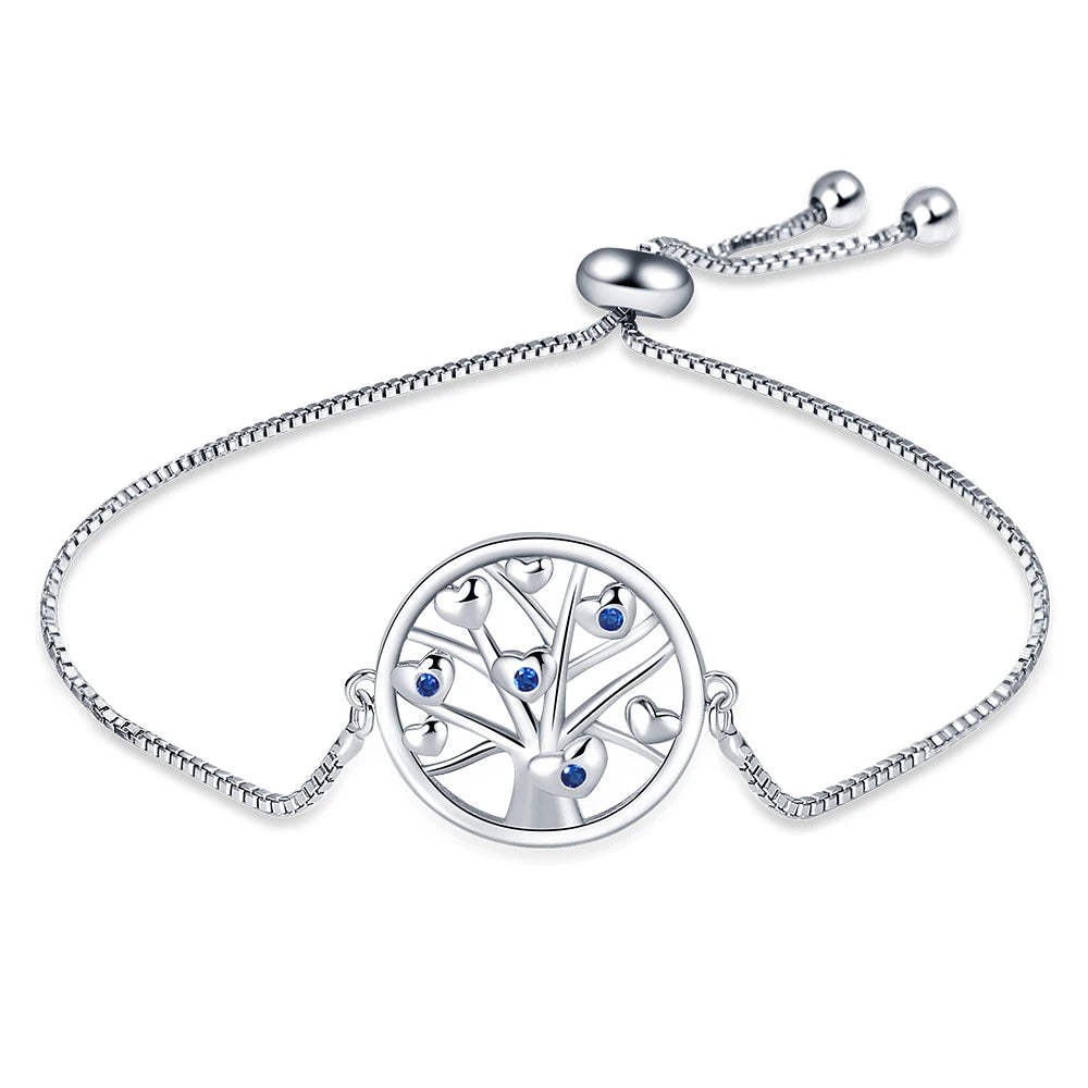 925 Silver Lucky Symbol Zircon Bracelet