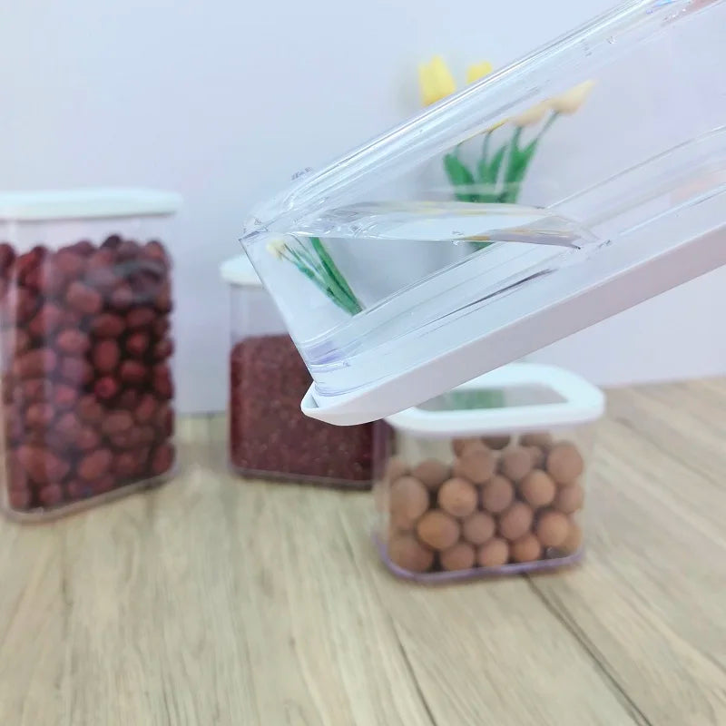 Plastic Sealed Transparent Food Container