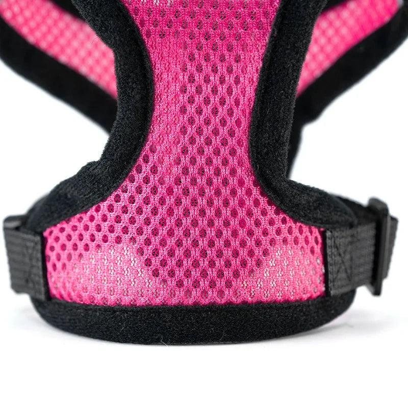 New style dog walking and cat chest strap