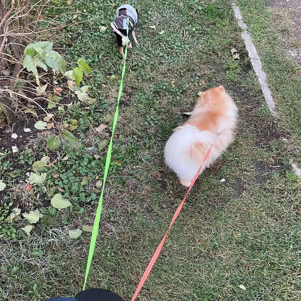 Auto Retractable Double-Ended Dog Leash 3m